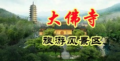免费看日本男女日逼的污视频中国浙江-新昌大佛寺旅游风景区